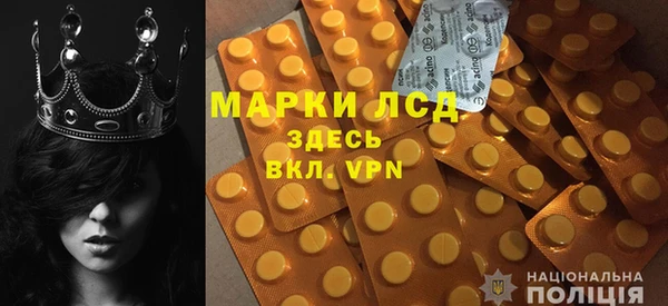 сатива Абинск