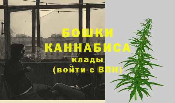 спайс Нягань
