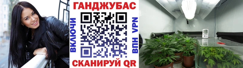 Каннабис OG Kush Нефтегорск